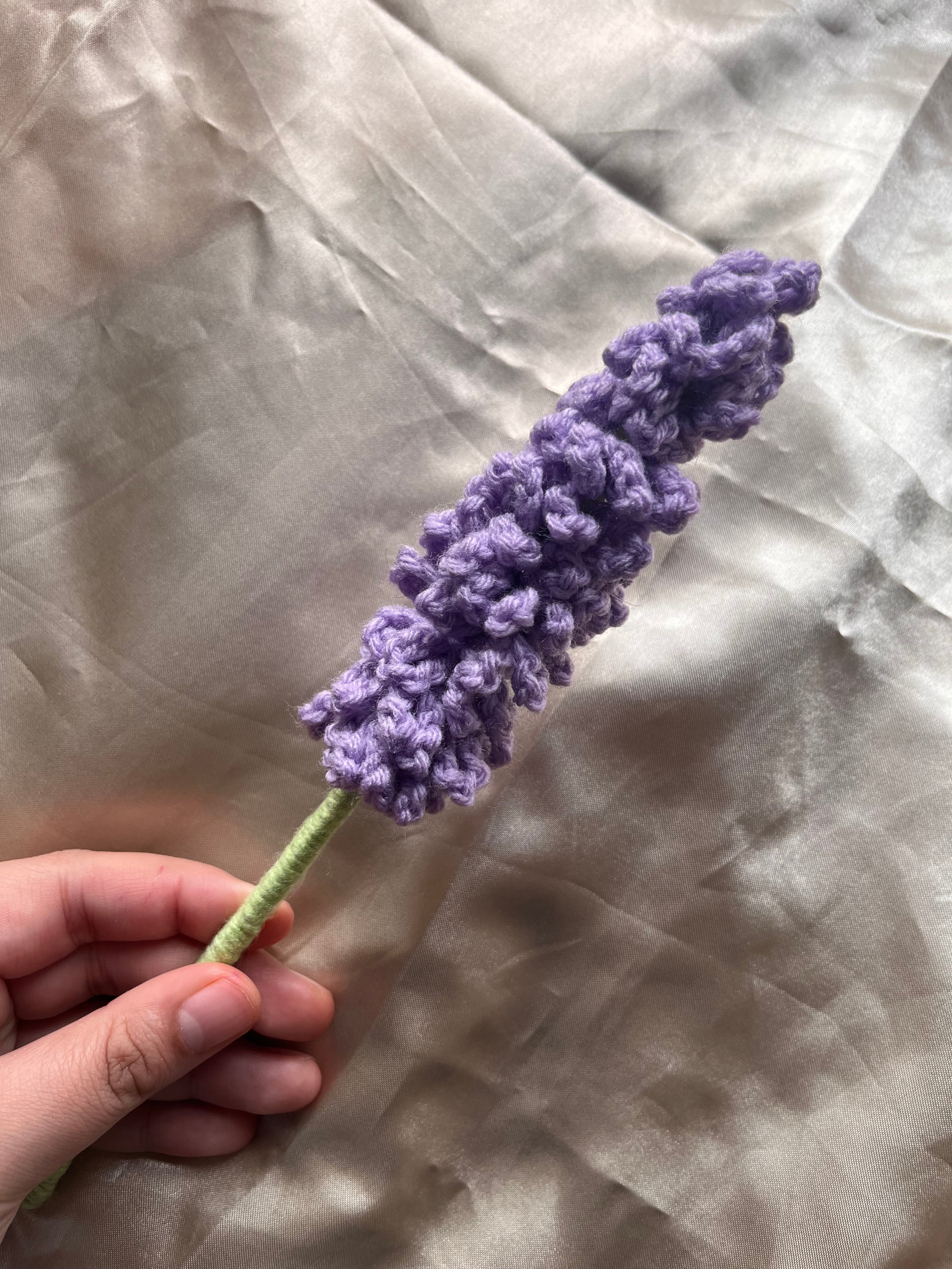 Lavender flower