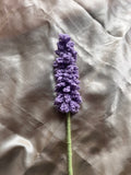 Lavender flower