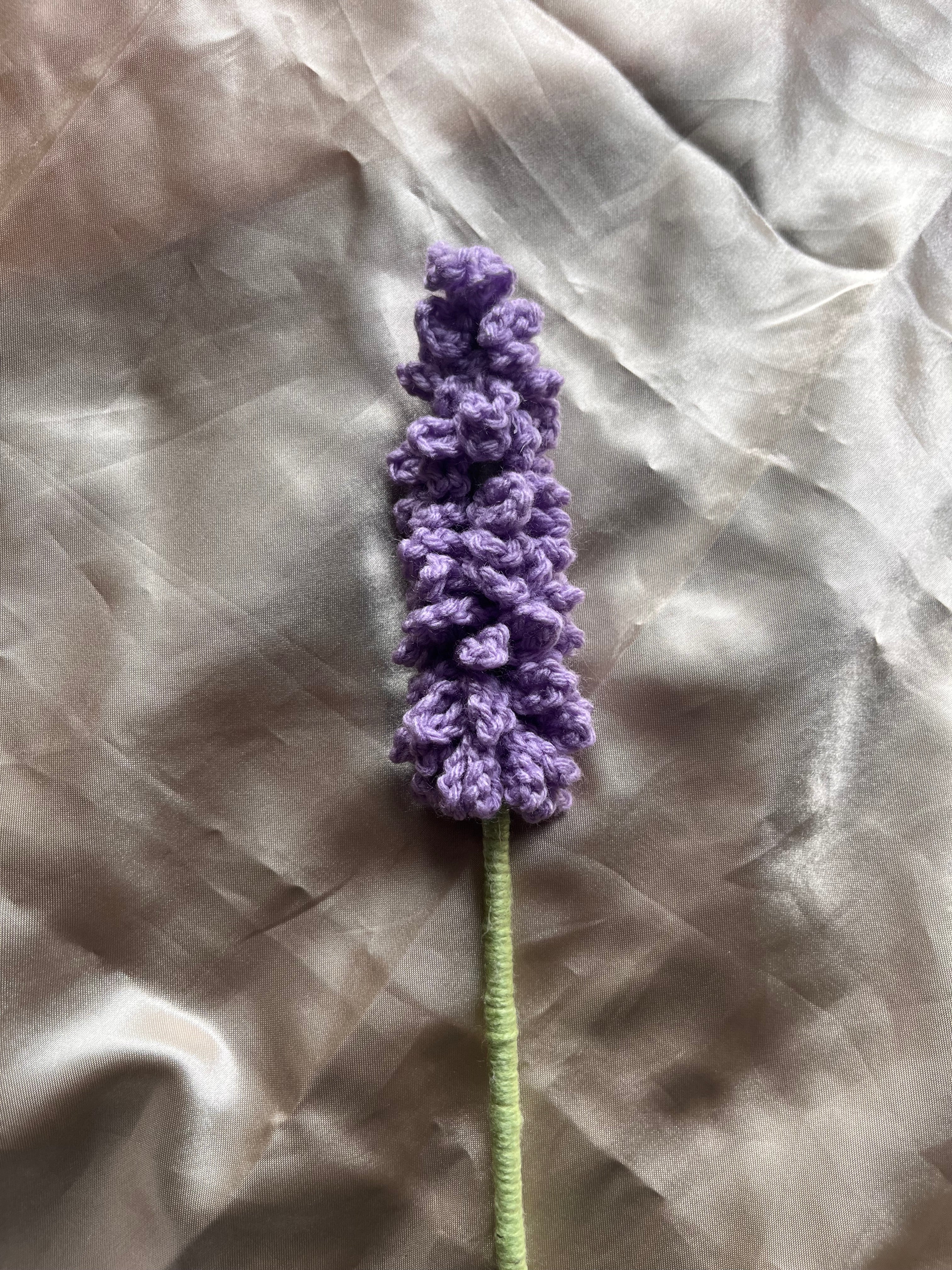 Lavender flower